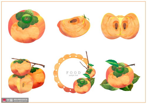 柿色满秋 一幅手绘插画中的丰收与美味